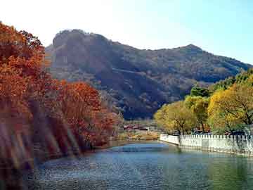 新澳门二四六天天彩，风流神医